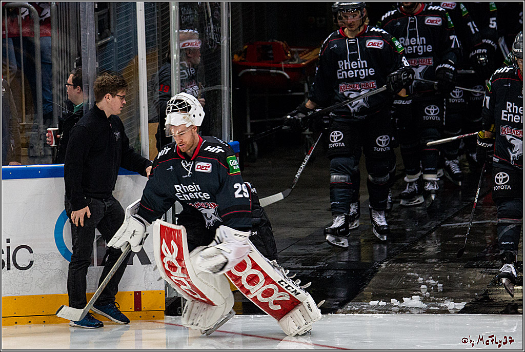 Koelner Haie - Eisbaeren Berlin, 13.11.2016